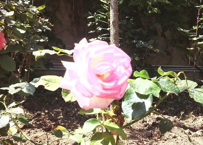 Nonnasara 住宿加早餐酒店 瓦尔德利切